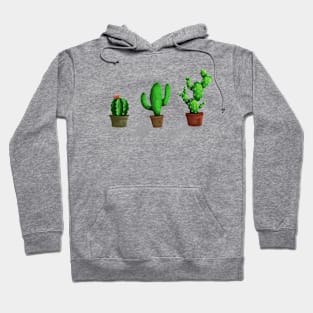 Cactus Hoodie